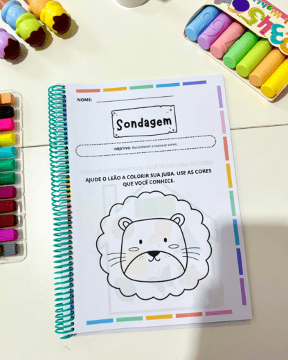 Sondagem Educação Infantil - Image 3