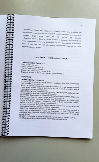 E-BOOK COM PLANOS DE AULA PRONTOS - Image 5