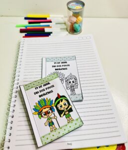 Povos Indígenas minibook